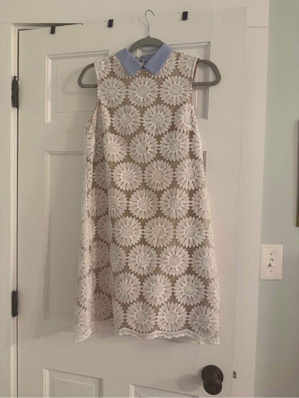 Donna Morgan Sleeveless Lace Daisy A-Line Dress with Light Blue Collar